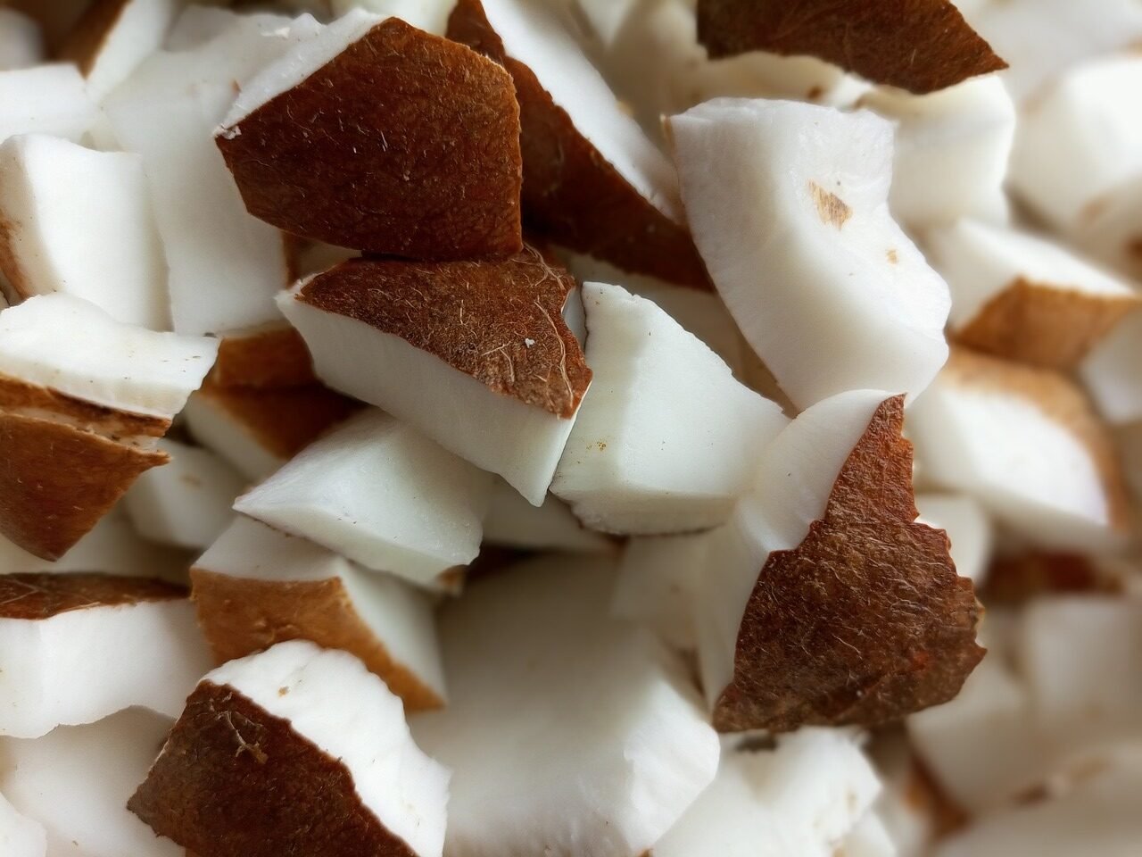 coconut, coconut meat, food, fruit, organic, cosmetics, oil, health, snack, coconut, coconut, coconut, coconut, coconut, coconut meat, coconut meat